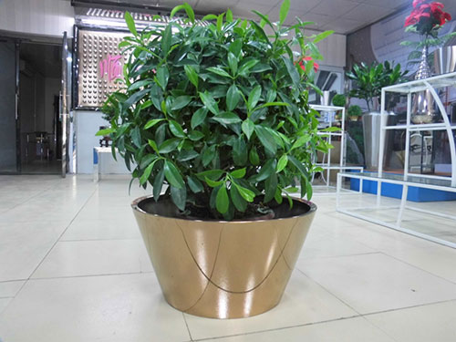 廣東汕頭不銹鋼花盆哪家做的好？